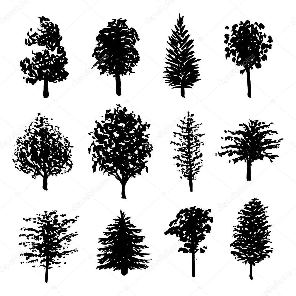 Forest trees silhouettes set