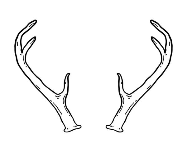 Cornamenta de ciervo dibujada a mano — Archivo Imágenes Vectoriales