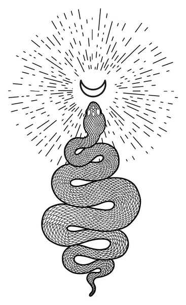Serpent enroulé et croissant de lune illustration détaillée — Image vectorielle