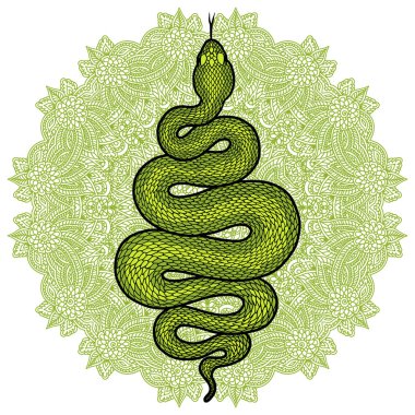 Coiled snake detailed illustration vector Coiled snake detailed illustration vector