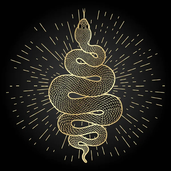 Serpiente en espiral ilustración detallada — Archivo Imágenes Vectoriales