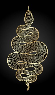 Coiled snake detailed illustration vector Coiled snake detailed illustration vector