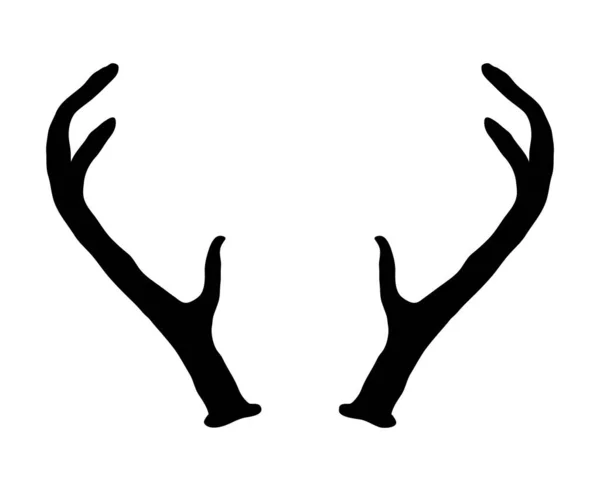 Bois de cerf dessinés à la main — Image vectorielle