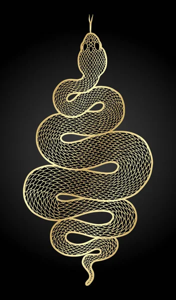 Coiled orm detaljerad illustration — Stock vektor