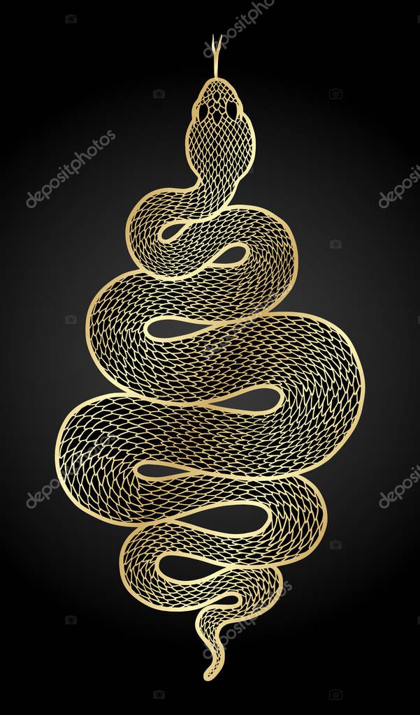 Coiled snake detailed illustration. Tribal golden serpent isolated over black background. Vector tattoo design.