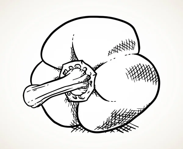 Illustration de légumes poivrons — Image vectorielle