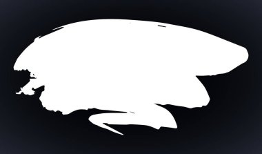 Artistik grunge fırça darbesi siyah arka planda izole edilmiş beyaz renkte. Tasarım elemanı vektör çizimi.