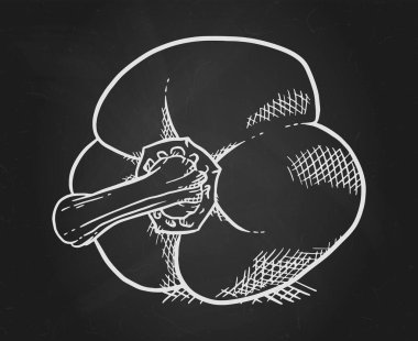 Tatlı biber sebze tebeşir illüstrasyon