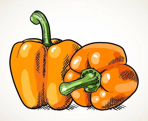 新鮮な甘いオレンジペッパーのペア 農場市場のための野菜のデザイン要素 ベジタリアン料理のレシピ 白の上に隔離されたベクターイラスト — ストックベクタ