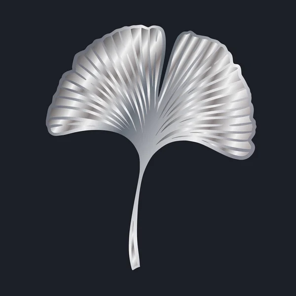 Feuille Argent Ginkgo Gingko Biloba Illustration Vectorielle Nature Botanique Acier — Image vectorielle