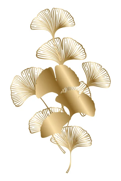 Ginkgo Nebo Gingko Biloba Zlatá Větev Listy Příroda Botanická Zlatá — Stockový vektor