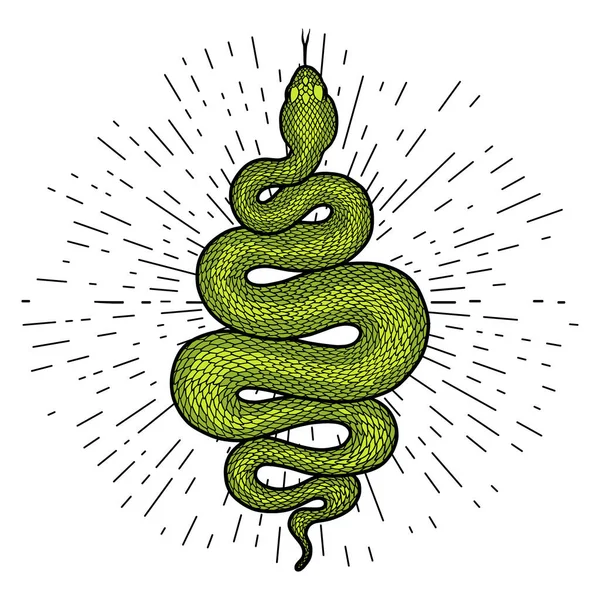 用光的光芒把绿色的蛇盘绕在一起 附有详细的说明 部落蛇在白色背景上被隔离 病媒纹身设计 — 图库矢量图片