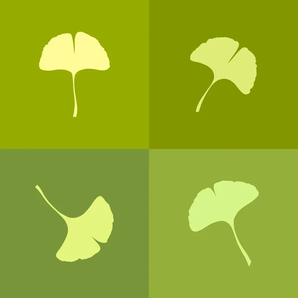 Зеленый Гинкго Гинкко Билоба Оставляет Иконки Природа Ботаническая Векторная Иллюстрация — стоковый вектор