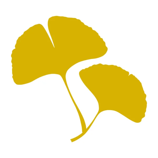 Ginkgo Otoñal Hojas Gingko Biloba Ilustración Silueta Del Vector Botánico — Archivo Imágenes Vectoriales