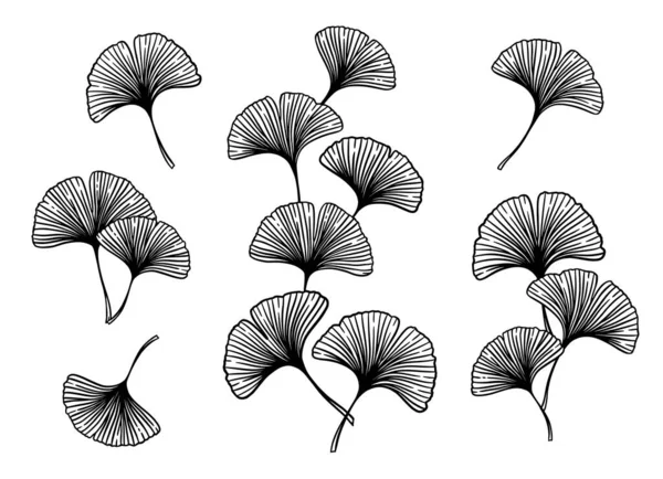 Ginkgo Leafストックベクター ロイヤリティフリーginkgo Leafイラスト ページ 7 Depositphotos Ginkgo Leafストックベクター ロイヤリティフリーginkgo Leafイラスト ページ 7 Depositphotos