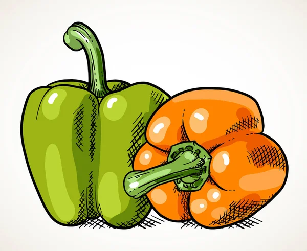一对新鲜的甜辣椒 绿色和橙色 农贸市场蔬菜设计元素 素食配方 白色上方孤立的向量图 — 图库矢量图片