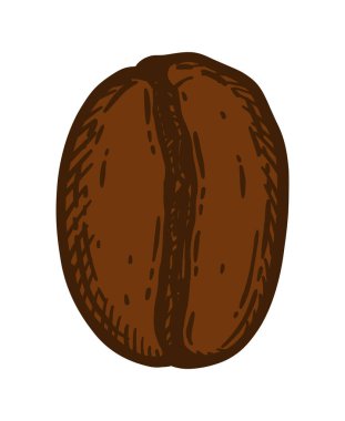 Koyu kavrulmuş kahve çekirdeği, kafein sembolü. Beyaz arkaplanda el çizimi grafik çizimi çizimi.