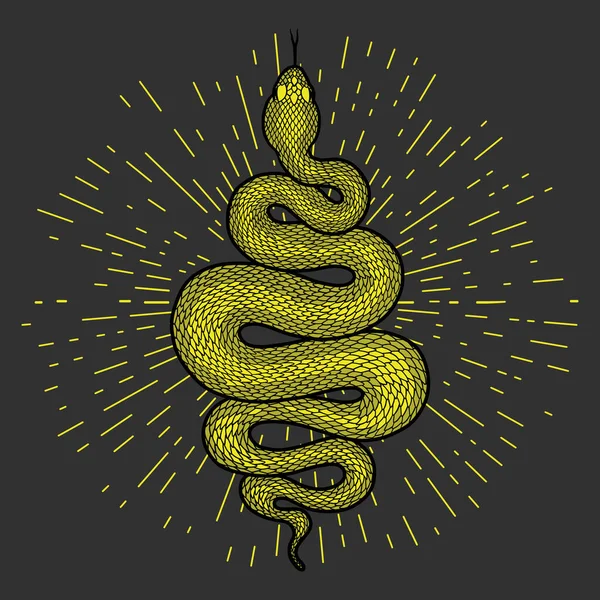 Serpent Vert Enroulé Avec Des Rayons Lumière Illustration Détaillée Serpent — Image vectorielle