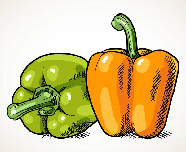 一对新鲜的甜辣椒 绿色和橙色 农贸市场蔬菜设计元素 素食配方 白色上方孤立的向量图 — 图库矢量图片