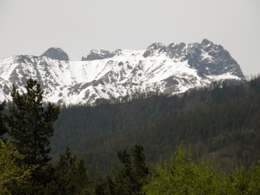 En yüksek. Doğu Sayan Dağları. Buryatia Cumhuriyeti.