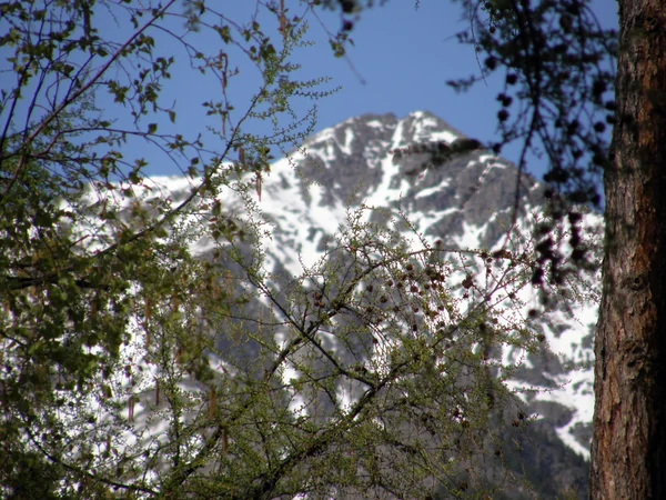 Pico. Montanhas Sayan orientais. A República da Buryatia . — Fotografia de Stock