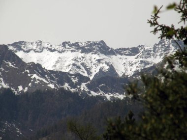 En yüksek. Doğu Sayan Dağları. Buryatia Cumhuriyeti.