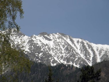 En yüksek. Doğu Sayan Dağları. Buryatia Cumhuriyeti.