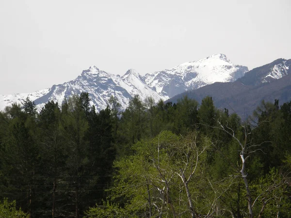 El pico. Montañas Sayan del Este. La República de Buriatia . — Foto de Stock