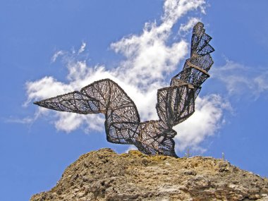 Anıt için nadir bir kuş. Kiev.