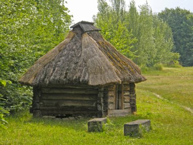 Thatched çatı altında eski bir ahşap ev. Pirogovo Müzesi. Kie