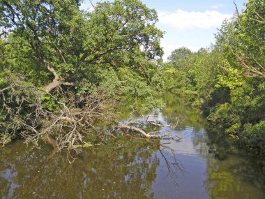 Dinyeper Körfezi. Kiev.
