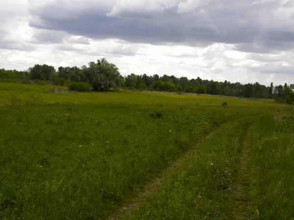 Estrada em um campo verde na primavera . — Fotografia de Stock