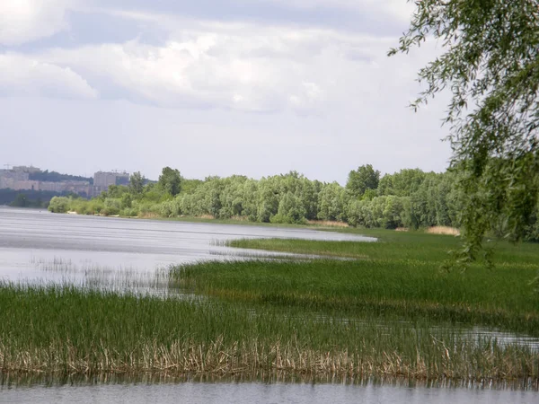 Zatokę Dniepru. Kijów. — Zdjęcie stockowe