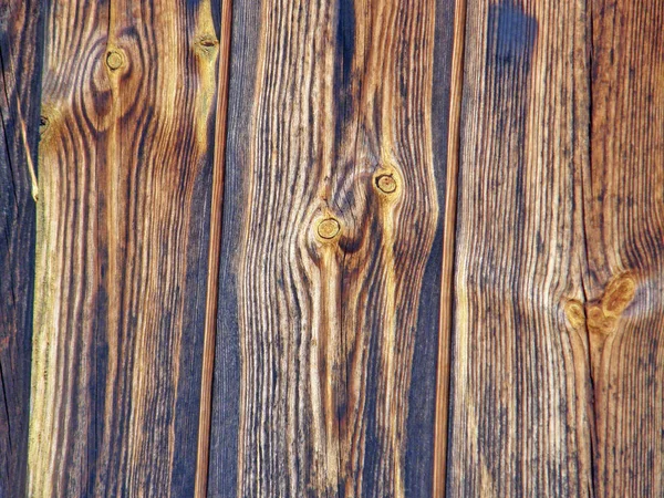 Textur eines alten Baumes. — Stockfoto