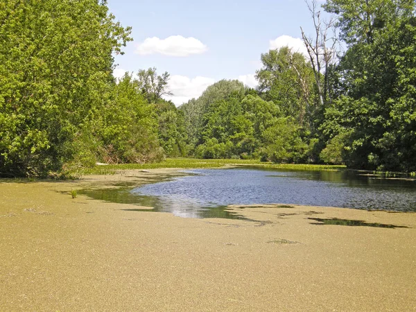 Zatokę Dniepru. Kijów. — Zdjęcie stockowe