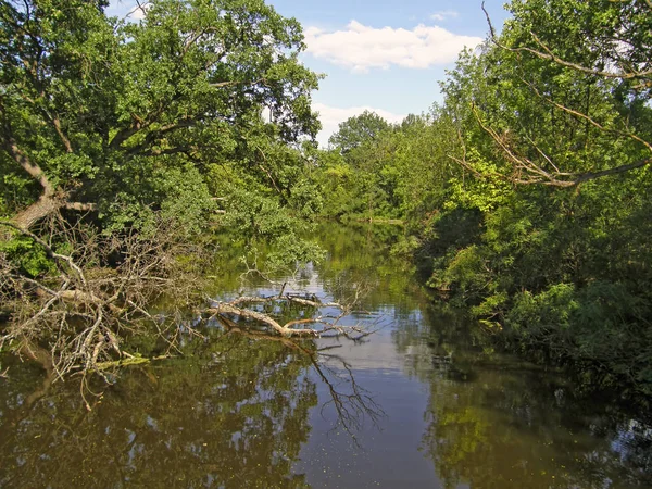 Zatokę Dniepru. Kijów. — Zdjęcie stockowe