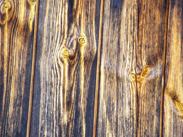 Struttura di un albero vecchio. — Foto Stock