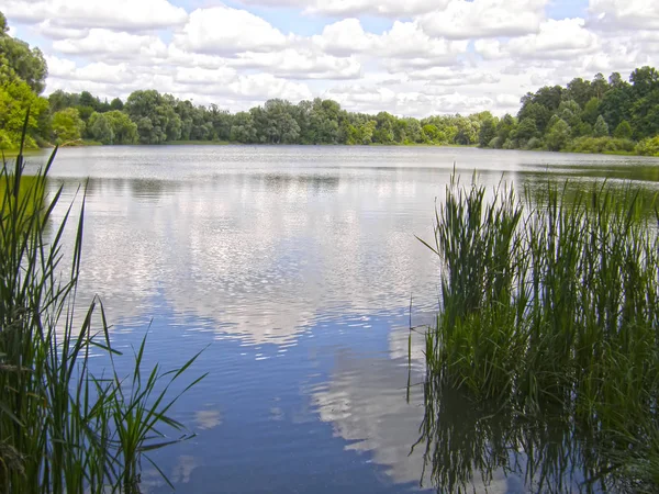 Zatokę Dniepru. Kijów. — Zdjęcie stockowe