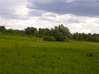 Yeşil çayırlar ve güzel ağaçlar