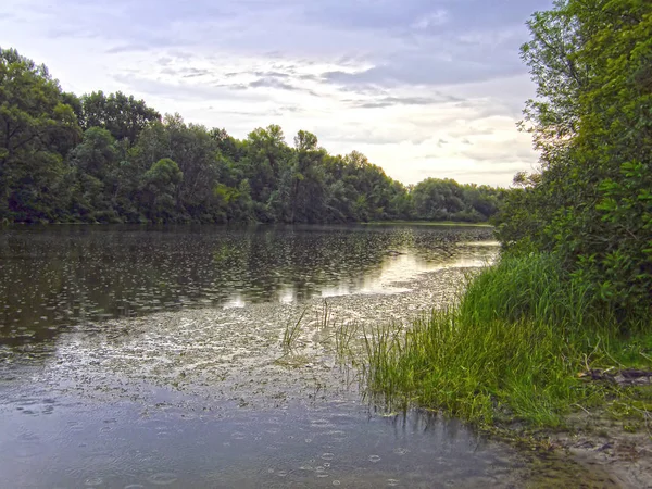 The Gulf of the Dnieper. Kiev. — Stock Photo, Image