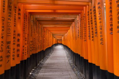 Kırmızı tori gate adlı fushimi Inari tapınak Kyoto, Japonya