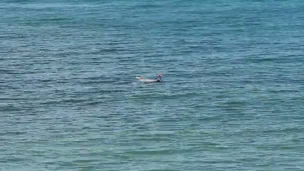 Kadın serbest dalış derin mavi denizde — Stok video