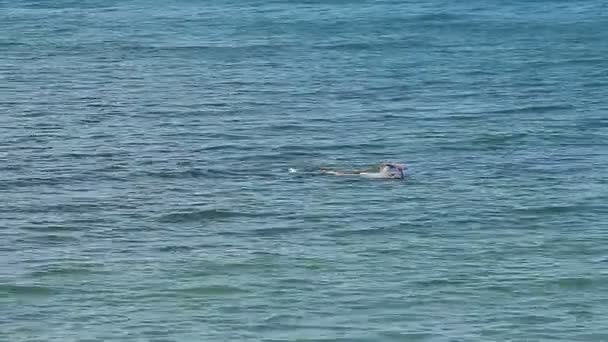 깊고 푸른 바다에서 여자 프리 다이빙 — 비디오