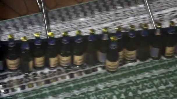 Bottiglie di birra su trasportatore di imbottigliatrice d'acqua — Video Stock