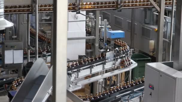 Plastic water bottles on conveyor or water bottling machine — Stock Video