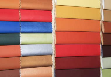 Renk Kılavuzu deri yakın çekim