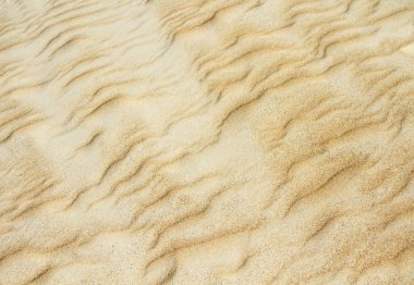 Sarı kumul doku yakın çekim