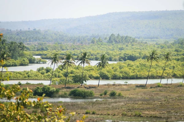 Panoramisch uitzicht op de aard van de schoonheid in Goa — Stockfoto