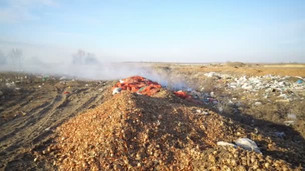 Residuos de basura grandes — Vídeos de Stock