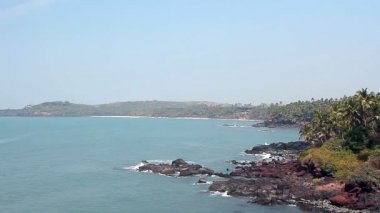 Palmiye ağaçları olan güzel bir sahil